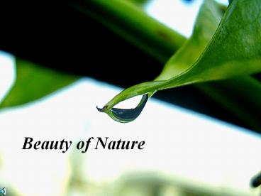 Beauty of Nature