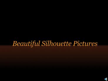 Beautiful Silhouette Pictures