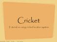 cricket