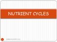 Science 9 - Nutrient Cycles